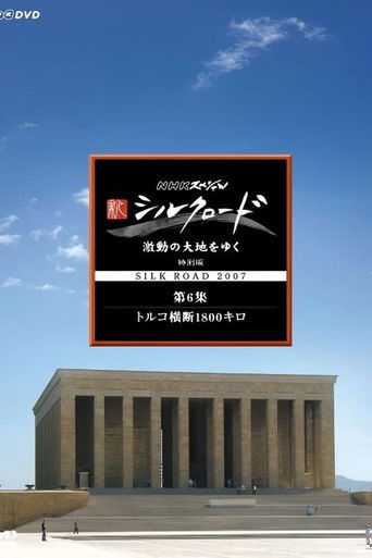 新シルクロード 激動の大地をゆく poster