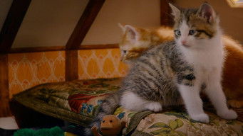 Episode 9 — Episode 9