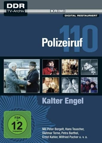 Poster of Kalter Engel