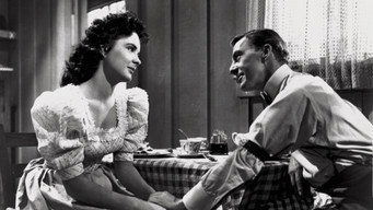 Wait Till the Sun Shines, Nellie (1952)