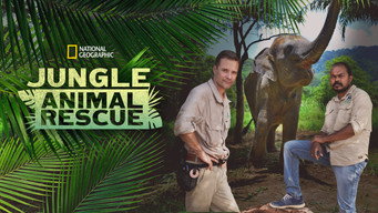 Jungle Animal Rescue (2020- )