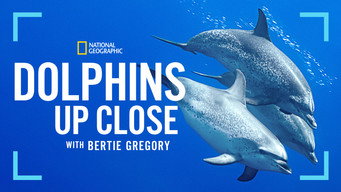 #7 Dolphins Up Close with Bertie Gregory