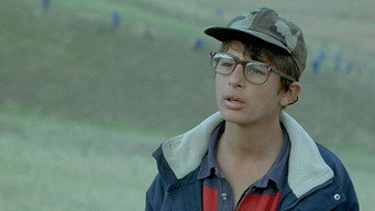#13 Черепахи можуть літати