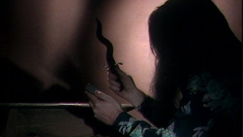 555 (1988)