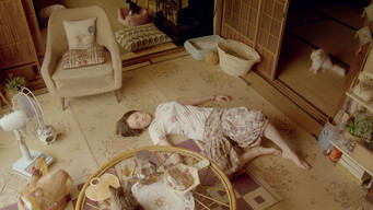 Кіт в оренду (2012)