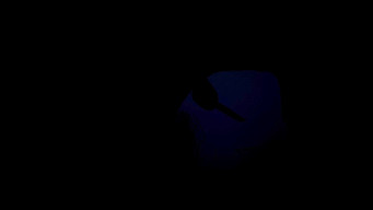 #74 Сікаріо