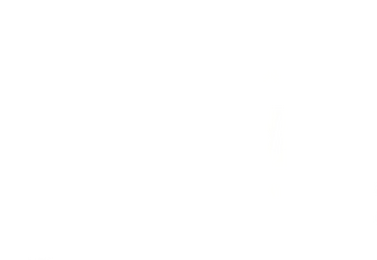 Friends & Family Christmas logo