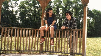 Spanking the Monkey (1994)