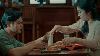 Mayflies media image