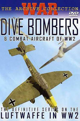 Dive Bombers & Combat Aircraft of WW2 poster
