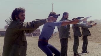 Stunt Squad (1977)