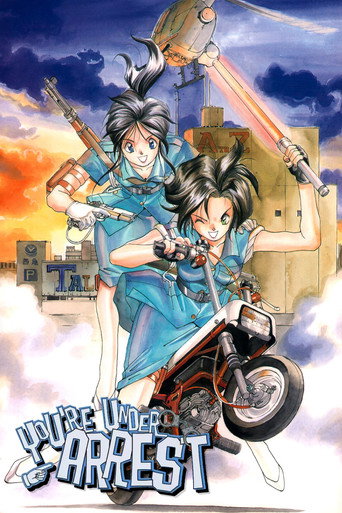 You're Under Arrest! poster 5