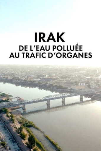 Irak,  de l'eau polluée au trafic d'organes