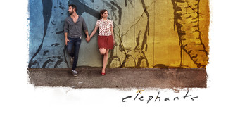 #7 Elephants