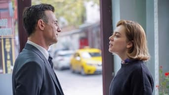 Episódio Episódio 10 da série Chamas do Destino