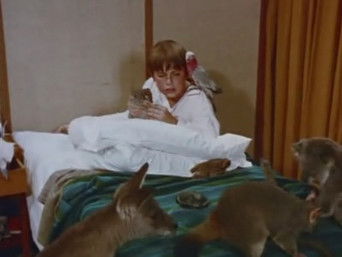 第7話：The Medicine Man