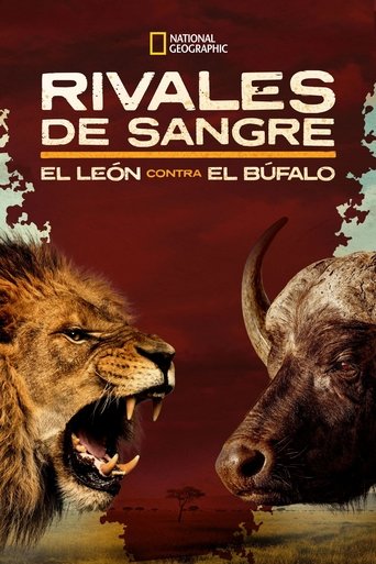 Blood Rivals: Lion vs Buffalo Blood Rivals: Lion vs Buffalo