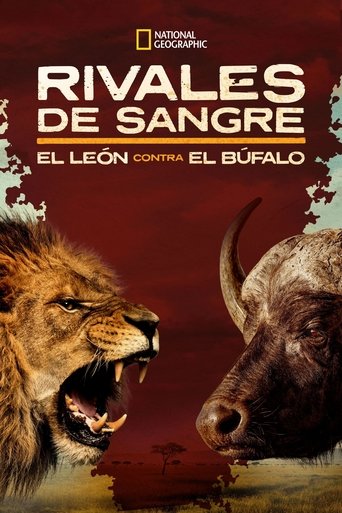 Blood Rivals: Lion vs Buffalo