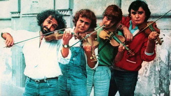 Arrivano i gatti (1980)