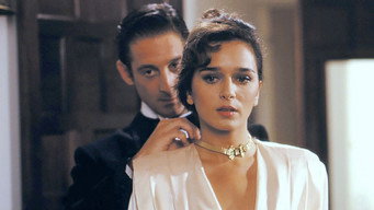 Last Summer in Tangiers (1987)