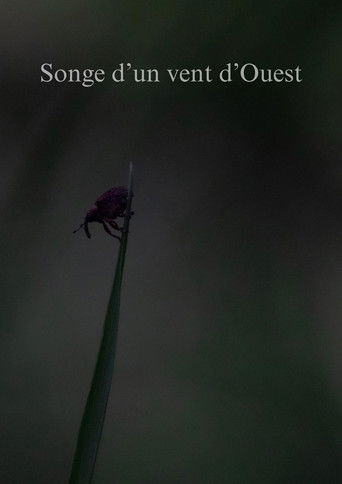 Songe d'un vent d'Ouest