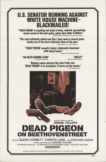 Dead Pigeon On Beethoven Street