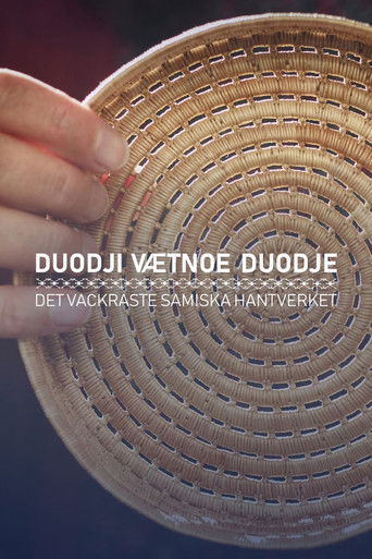 Det vackraste samiska hantverket (2020)