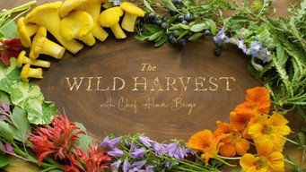 #4 Field, Forest, Feast