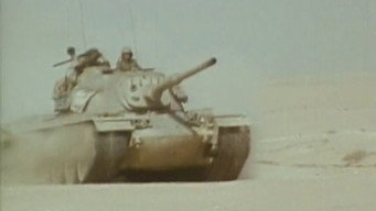 The Iran-Iraq War