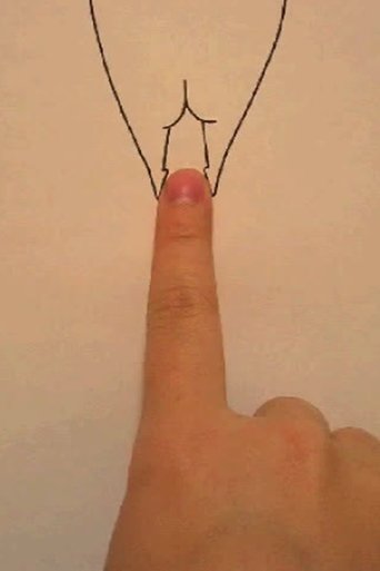 しりプレイ (2005)