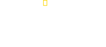 Dino Death Match logo