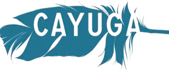 Cayuga Ficción