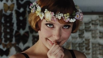 Стокротки (1966)
