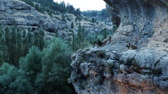 #4 Beyond the Hill