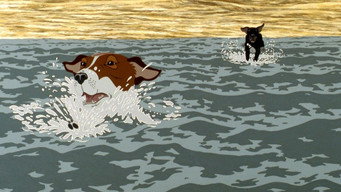 #9 The Plague Dogs