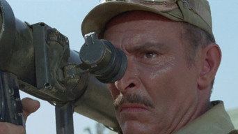 Commandos media image