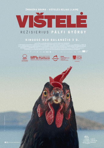 Κότα (2026年)のポスター画像 - FindKey