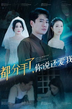 都分手了你说还爱我 poster