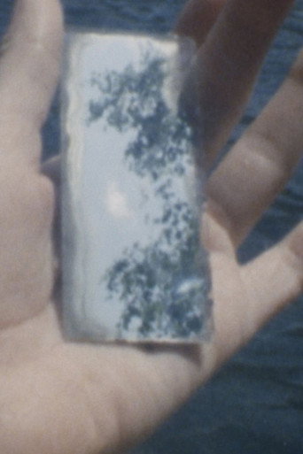 Mirar el agua
