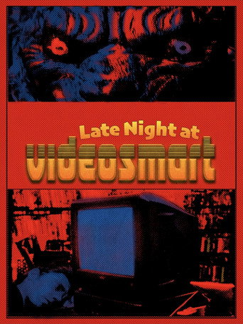 Late Night at Video-Smart movie poster