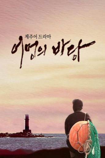 어멍의 바당 poster