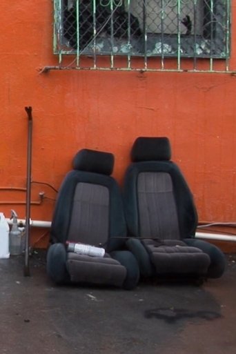 The King and the Jester