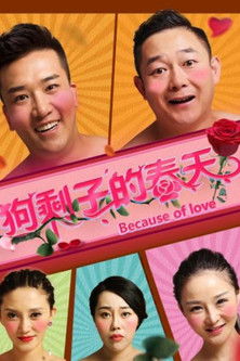 狗剩子的春天 poster