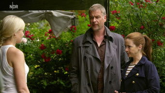 Episode 3 — Killerbienen &uuml;ber Husum