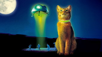 #7 The Cat from Outer Space