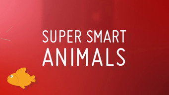 Super Smart Animals (2012)
