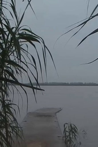 Tongjing (2015)