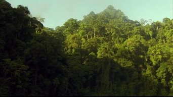 Equator - S1E01