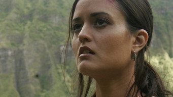 Тепловий удар (2008)