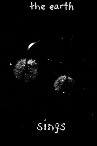 In the Garden poster